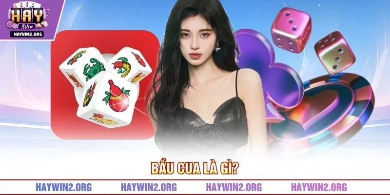 Bầu Cua là gì?