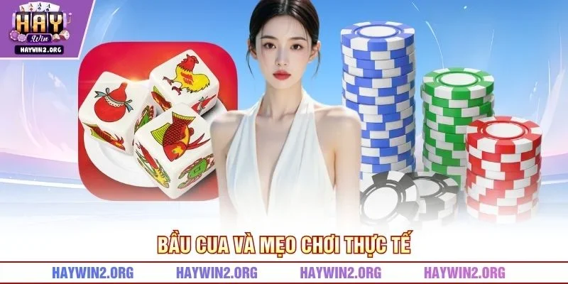 Bầu Cua và mẹo chơi thực tế