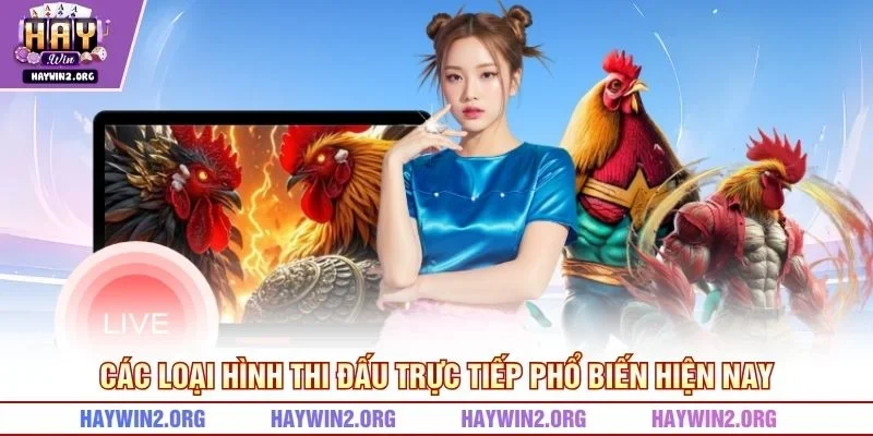 Các loại hình thi đấu trực tiếp phổ biến hiện nay