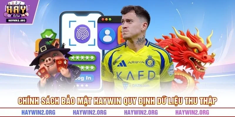 Chính sách bảo mật HAYWIN quy định dữ liệu thu thập