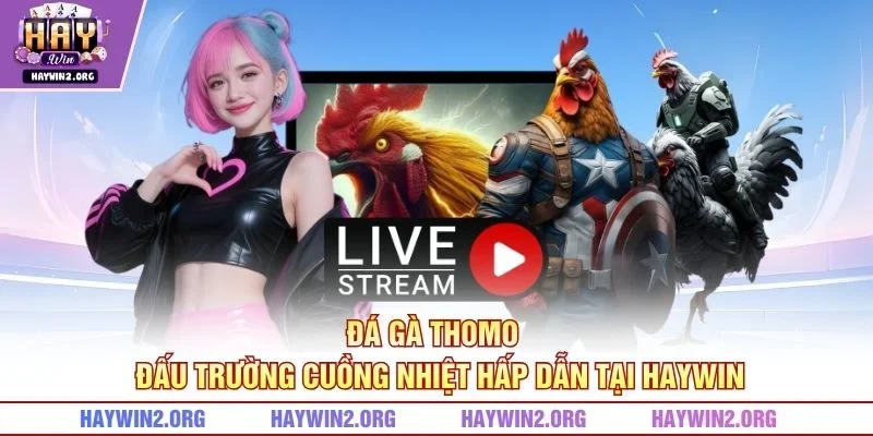 Đá Gà Thomo