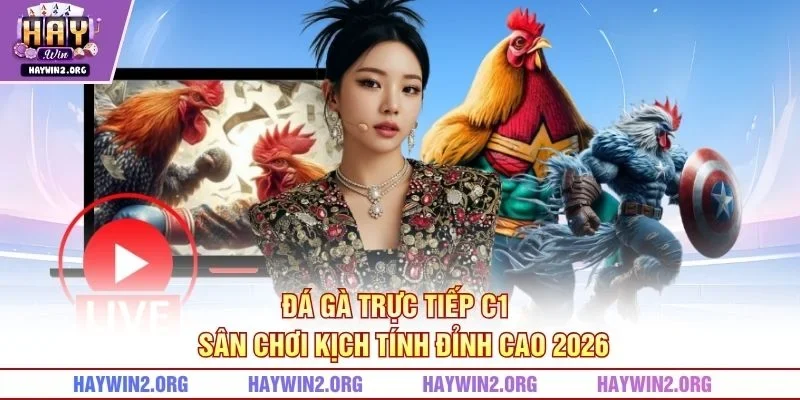 Đá Gà Trực Tiếp C1