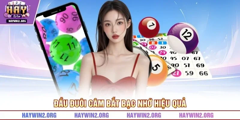 Đầu đuôi câm bắt bạc nhớ hiệu quả