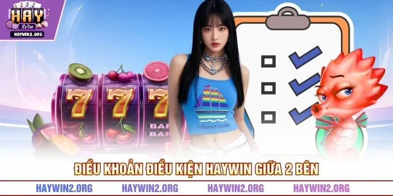 Điều khoản điều kiện HAYWIN giữa 2 bên