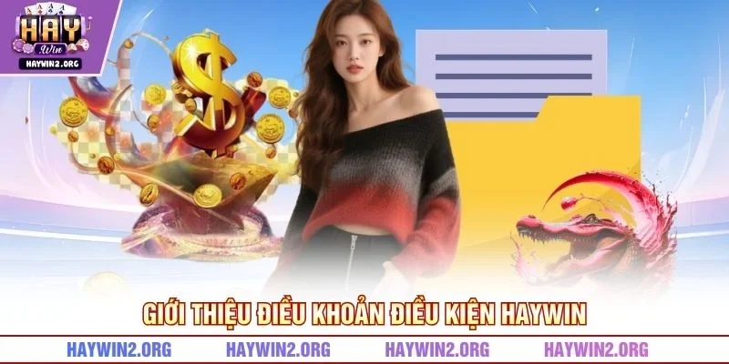 Giới thiệu điều khoản điều kiện HAYWIN