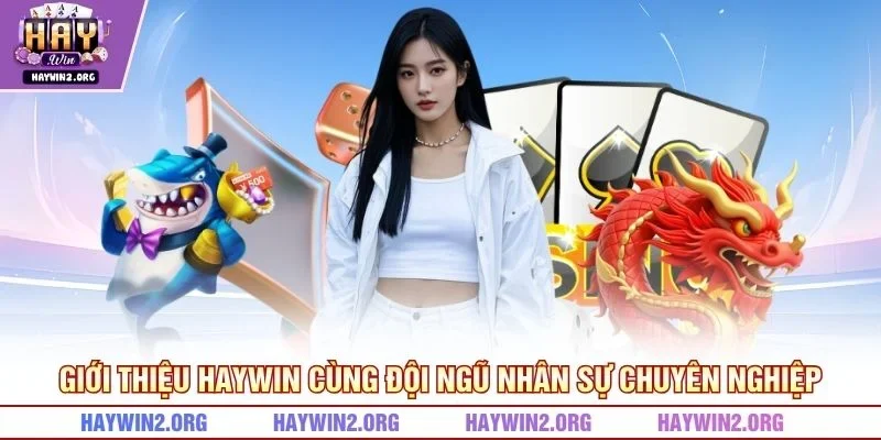 Giới thiệu HAYWIN cùng đội ngũ nhân sự chuyên nghiệp