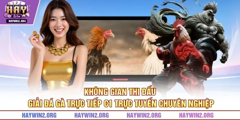 Không gian thi đấu giải đá gà trực tiếp C1 trực tuyến chuyên nghiệp