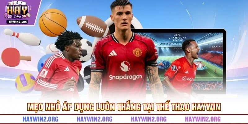 Mẹo nhỏ áp dụng luôn thắng tại thể thao HAYWIN