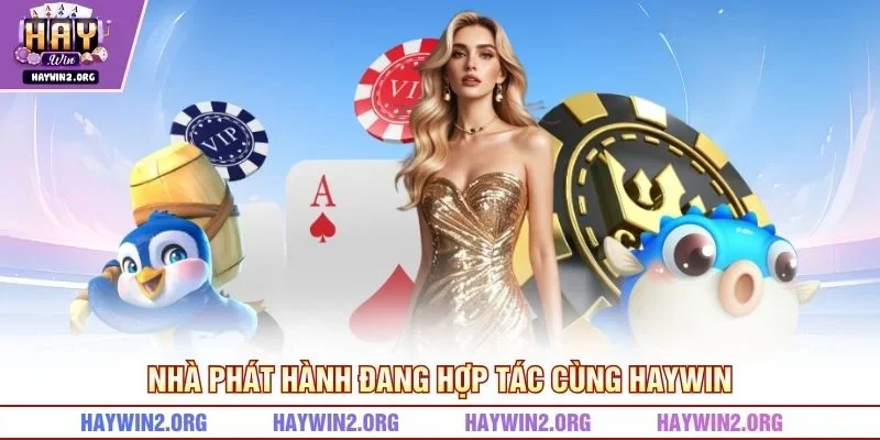 Nhà phát hành đang hợp tác cùng HAYWIN