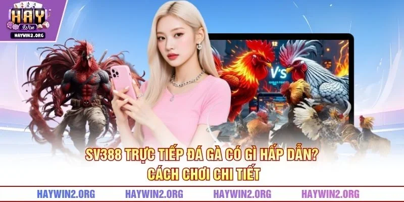SV388 Trực Tiếp Đá Gà