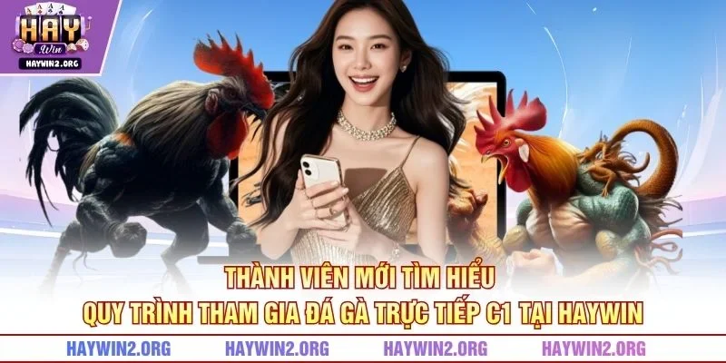 Thành viên mới tìm hiểu quy trình tham gia đá gà trực tiếp C1 tại HAYWIN