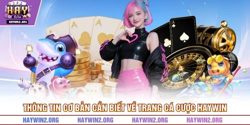 Thông tin cơ bản cần biết về trang cá cược HAYWIN