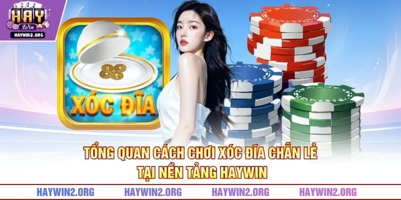 Tổng quan cách chơi xóc đĩa chẵn lẻ tại nền tảng HAYWIN